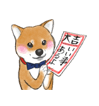 柴犬こたろうの年末年始（個別スタンプ：7）