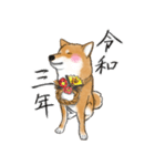 柴犬こたろうの年末年始（個別スタンプ：9）