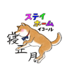 柴犬こたろうの年末年始（個別スタンプ：11）