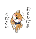 柴犬こたろうの年末年始（個別スタンプ：15）