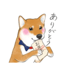 柴犬こたろうの年末年始（個別スタンプ：16）