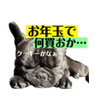 フレンチブルドッグバイエスの年末年始挨拶（個別スタンプ：6）