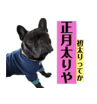 フレンチブルドッグバイエスの年末年始挨拶（個別スタンプ：7）
