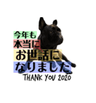 フレンチブルドッグバイエスの年末年始挨拶（個別スタンプ：9）