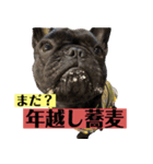フレンチブルドッグバイエスの年末年始挨拶（個別スタンプ：10）