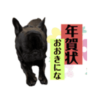フレンチブルドッグバイエスの年末年始挨拶（個別スタンプ：12）
