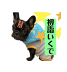 フレンチブルドッグバイエスの年末年始挨拶（個別スタンプ：14）
