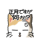 猫大好き！その37（個別スタンプ：18）