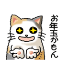 猫大好き！その37（個別スタンプ：22）