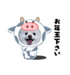 もふまろあけおめスタンプ2021（個別スタンプ：2）