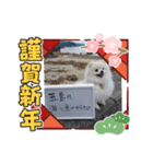 もふまろあけおめスタンプ2021（個別スタンプ：5）