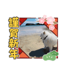 もふまろあけおめスタンプ2021（個別スタンプ：6）
