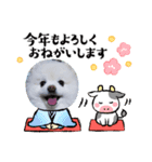 もふまろあけおめスタンプ2021（個別スタンプ：8）