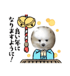 もふまろあけおめスタンプ2021（個別スタンプ：9）