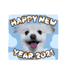 もふまろあけおめスタンプ2021（個別スタンプ：13）