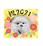 もふまろあけおめスタンプ2021（個別スタンプ：15）