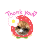 くぅ♥️みぃ（個別スタンプ：1）