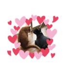 くぅ♥️みぃ（個別スタンプ：2）