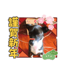 くぅ♥️みぃ（個別スタンプ：8）