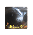 くぅ♥️みぃ（個別スタンプ：10）
