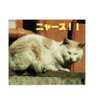 大久保ノラニャンズパート5（個別スタンプ：3）