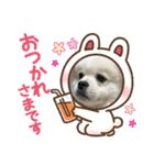 レフラースタンプ2（個別スタンプ：12）