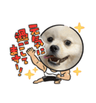 レフラースタンプ2（個別スタンプ：21）