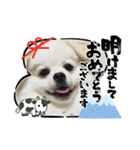 レフラースタンプ2（個別スタンプ：34）