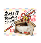レフラースタンプ2（個別スタンプ：35）