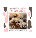 NICO SENA EVENT（個別スタンプ：1）