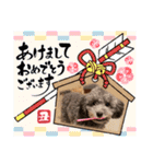 NICO SENA EVENT（個別スタンプ：2）