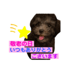 NICO SENA EVENT（個別スタンプ：23）