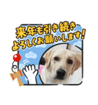 あけおめスタンプ(ナナちゃん)（個別スタンプ：6）