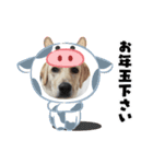 あけおめスタンプ(ナナちゃん)（個別スタンプ：8）