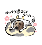 あけおめスタンプ(ナナちゃん)（個別スタンプ：10）