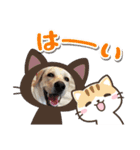 あけおめスタンプ(ナナちゃん)（個別スタンプ：14）