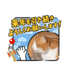 アーユルキャット5 寅次郎（個別スタンプ：8）