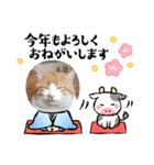 アーユルキャット5 寅次郎（個別スタンプ：9）