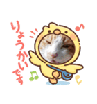 アーユルキャット5 寅次郎（個別スタンプ：18）