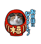アーユルキャット5 寅次郎（個別スタンプ：20）