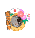 マルマルとシロ（個別スタンプ：5）