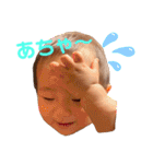 日常こあ3（個別スタンプ：5）