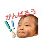 日常こあ3（個別スタンプ：30）
