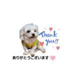 バブ♡ライ♡そら♡part4（個別スタンプ：1）