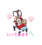 バブ♡ライ♡そら♡part4（個別スタンプ：3）