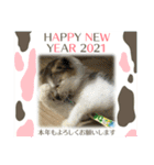 にゃにゃんず2021年賀（個別スタンプ：26）