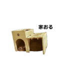 うさぎのチョッピー（個別スタンプ：2）