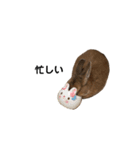 うさぎのチョッピー（個別スタンプ：18）