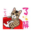 2020 1223 猫のてん（個別スタンプ：2）