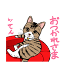 2020 1223 猫のてん（個別スタンプ：3）